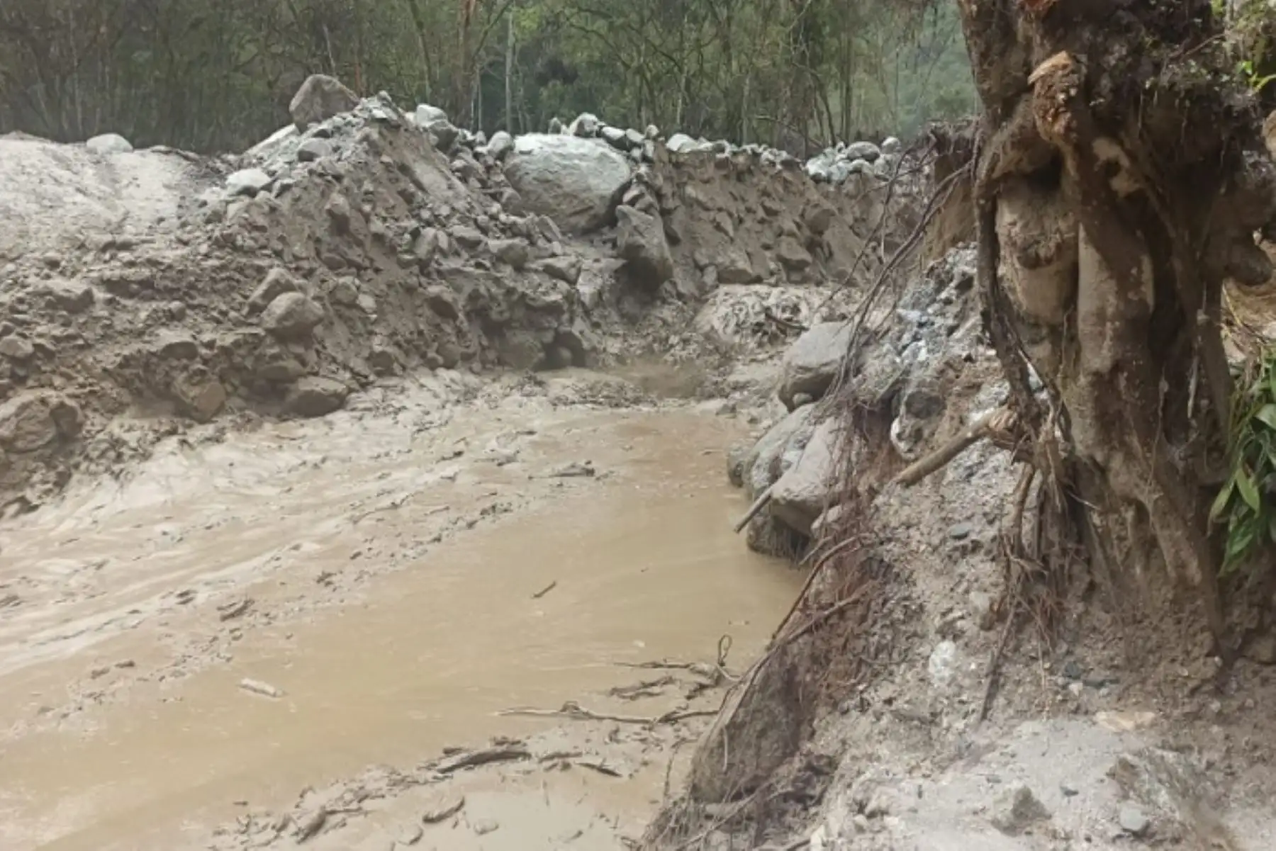 Se ha restringido el paso peatonal en la ruta Hidroeléctrica – Machu Picchu y viceversa hasta nuevo aviso.