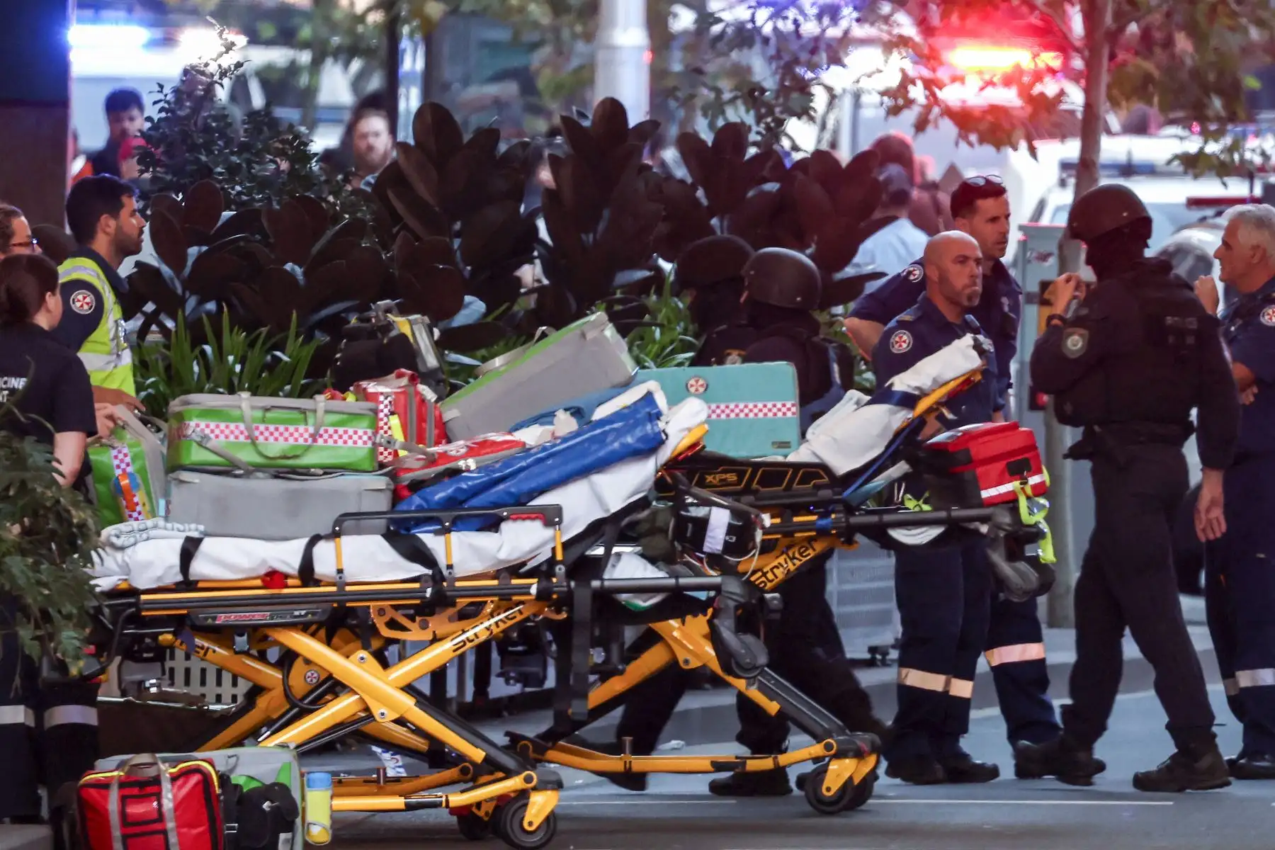 La policía ingresa al centro comercial Westfield Bondi Junction después de un incidente de apuñalamiento en Sydney. La policía australiana dijo que había recibido informes de que "varias personas" fueron apuñaladas en un concurrido centro comercial de Sydney. Foto: ANDINA/AFP