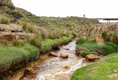 El Ministerio del Ambiente lanzará el Programa de Especialización en “Evaluación de Impacto Ambiental”, dirigido a profesionales vinculados a las áreas ambientales de todo el país, a través del cual obtendrán las herramientas para desarrollar una adecuada evaluación de impactos ambientales y establecer las medidas para mitigar sus potenciales efectos.