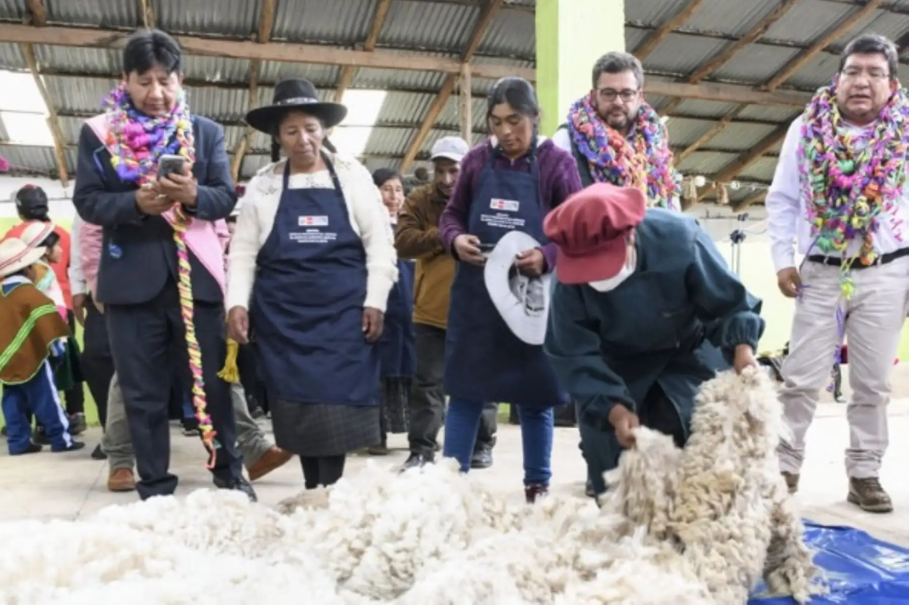 Centro de esquilado en Puno para alpacas. Foto: Cortesía.