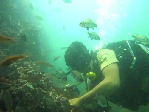 Sernanp informó del inicio de un estudio científico en el mar peruano, en la zona de la Reserva Sistema de Islas, Islotes y Puntas Guaneras, para conocer los cambios que generan los impactos climatológicos, como el Fenómeno El Niño, en áreas protegidas marinas. ANDINA/Difusión