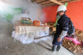 Dengue en Ica: por cuarta semana consecutiva índice de contagios continúa a la baja 