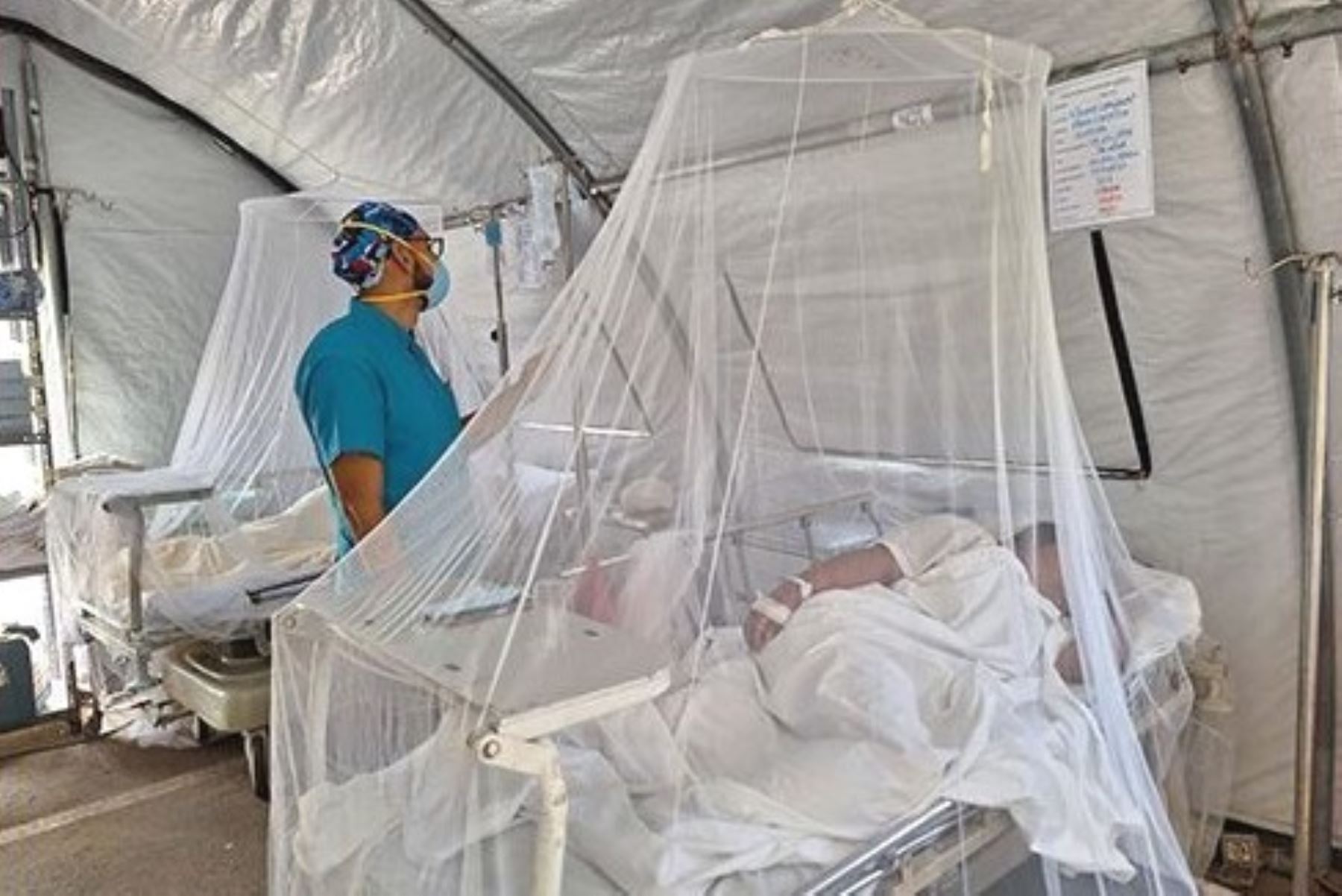 Minsa: más de 300 pacientes vencen el dengue en Hospital de Emergencias Villa el Salvador. Foto: ANDINA/Difusión.