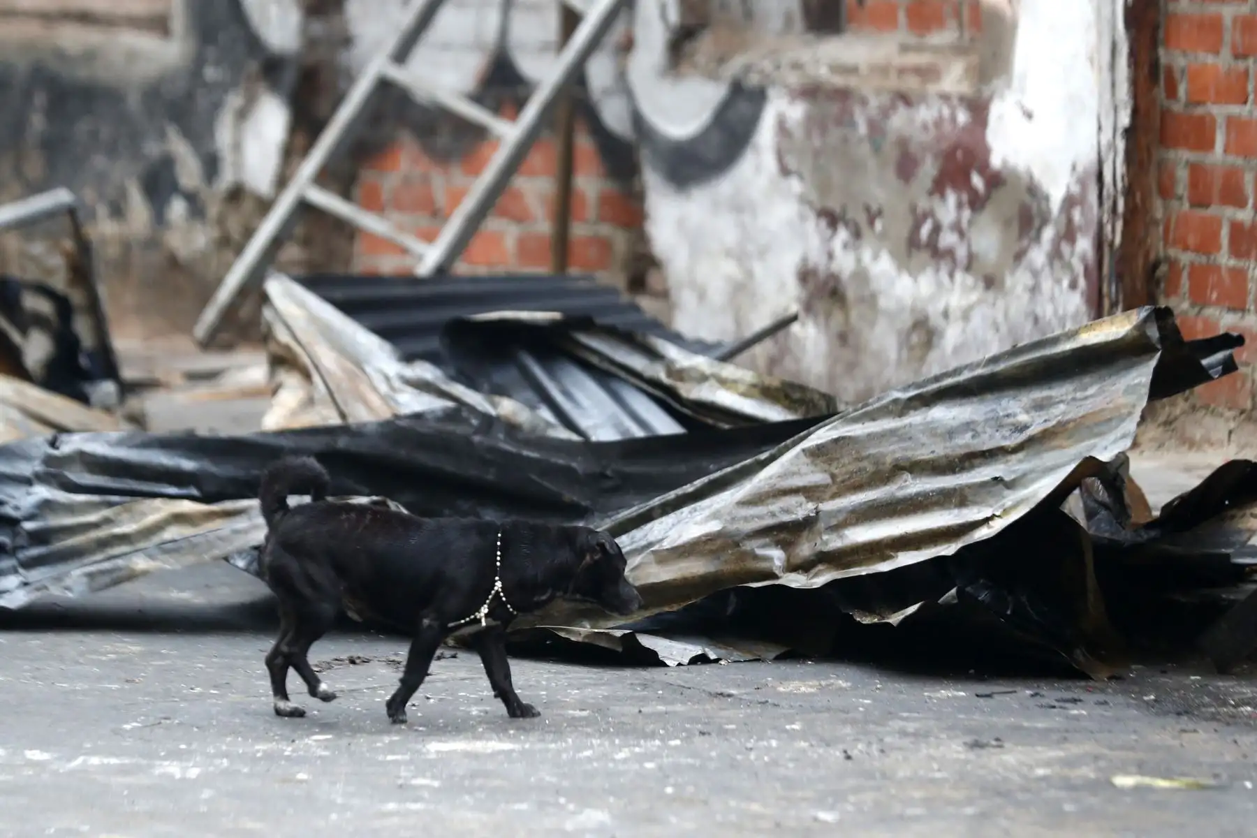Un incendio de medianas proporciones se desató esta madrugada en una vivienda de la cuadra 5 de Jirón Angaraes, en el Cercado de Lima. Foto: ANDINA/Daniel Bracamonte