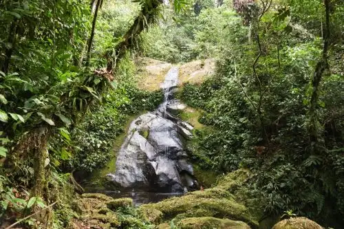 Bofedales altoandinos podrían mitigar de escasez agua en tiempos de sequía, según estudio