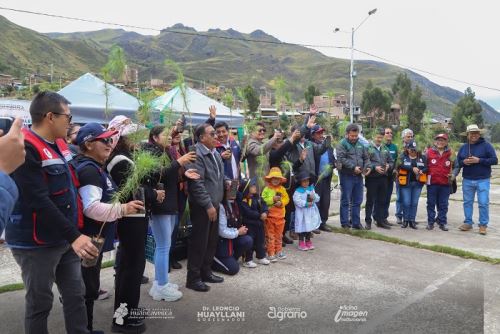 Mtea del Gore Huancavelica es instalar 1 millón 500 mil  plantones por año en todas las provincias y en los sitios donde se requiera.