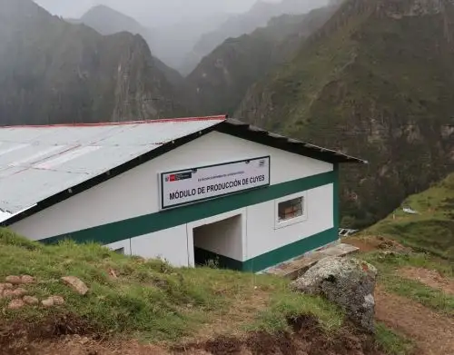 INEI inaugura nueva estación experimental agraria que beneficiará a 25,000 productores de Pasco y potenciará la actividad agropecuaria de esa región. ANDINA/Difusión