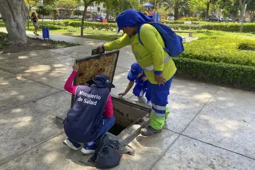 Trabajo articulado enre el sector salud y el gobierno municipal logró conrol del vector del Dengue. ANDINA/ Municipalidad de Miraflores.