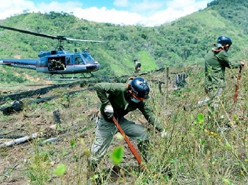El Proyecto Corah erradicó en lo que va del año un total de 3,456 hectáreas de cultivos ilegales de hoja de coca en Huánuco y Ucayali, informó el Ministerio del Interior.