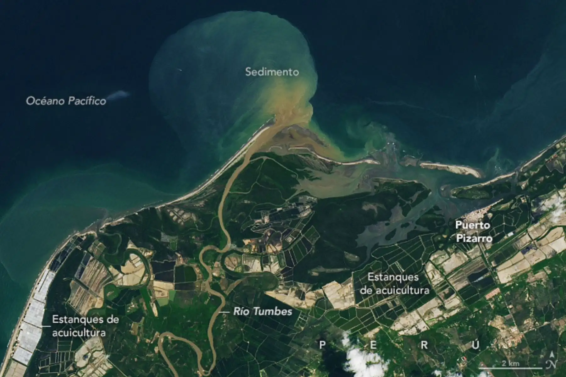 Nasa resalta el impacto que trae la acuicultura del langostino en los bosques de manglares de Tumbes.