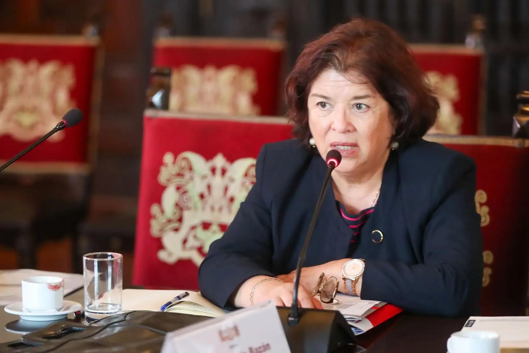 La presidenta de la república, Dina Ercilia Boluarte Zegarra, sostuvo una reunión de trabajo con el alcalde de la Municipalidad de San Miguel, Eduardo Bless Cabrejas.
Foto: ANDINA/Prensa Presidencia