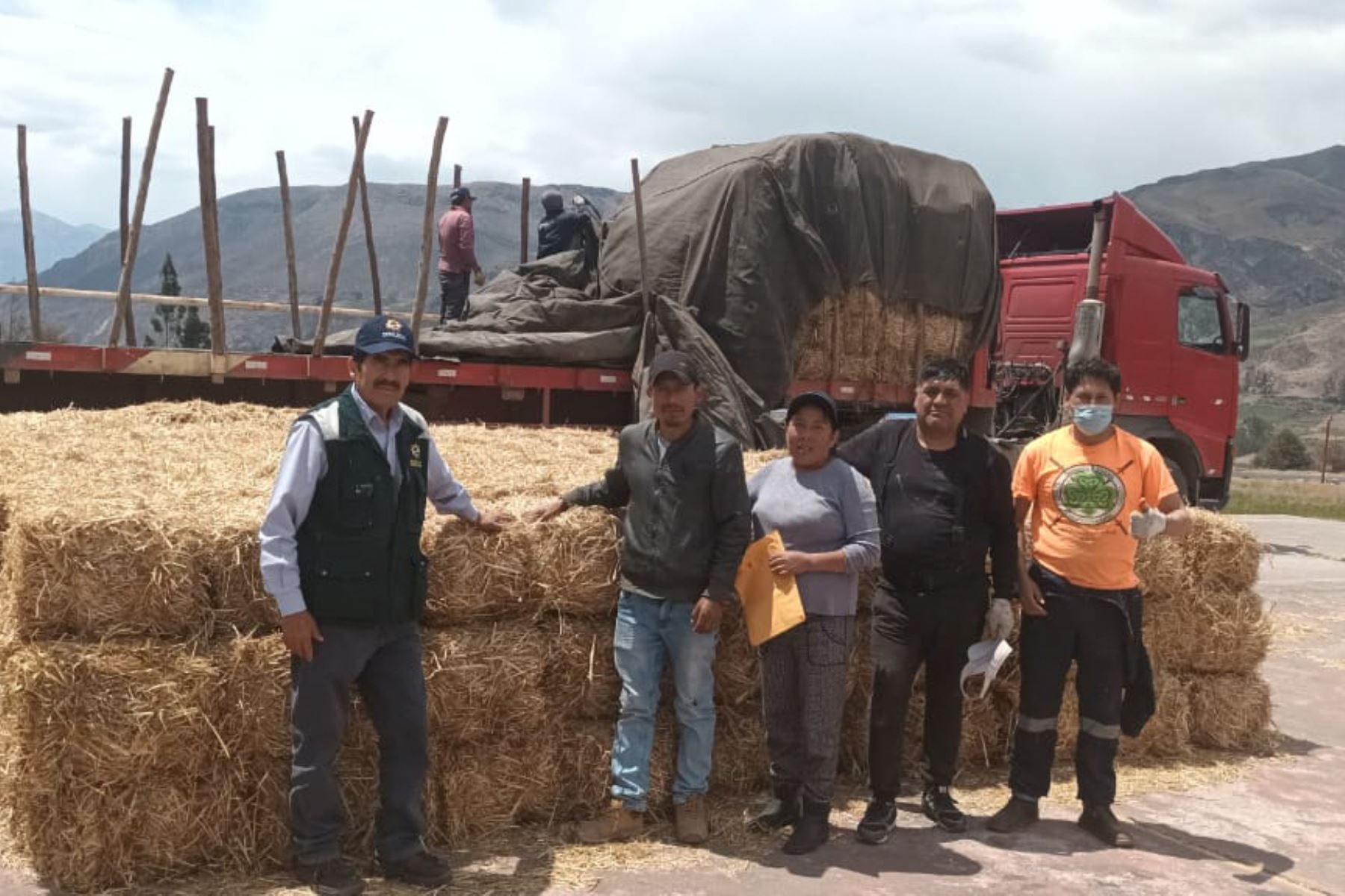 Los kits veterinarios permitirán atender 25,000 cabezas de ganado alpaquero de la región Arequipa. Foto: ANDINA/Difusión