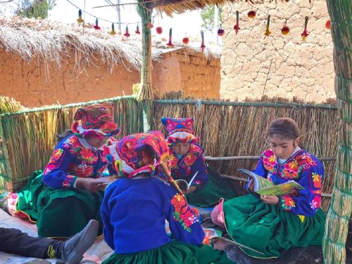 Docentes y padres de familia del centro poblado Villa Soca, ubicado en Puno, lograron revertir los bajos índices de lectura en estudiantes de esta localidad ubicada en la zona rural de la región. ANDINA/Difusión