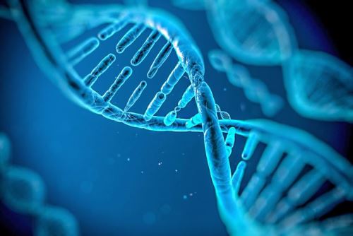 El ADN es una molécula que almacena información genética de lo que somos y de las enfermedades que nos podrían afectar. ANDINA/ internet/medios.