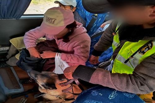 Puno: Binomio canino-agente logran detectar traslado ilegal de cerca de S/ 500,000 soles