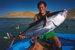 La pesca artesanal recibirá un nuevo impulso con la creación de la reserva Mar Tropical de Grau. Foto: ANDINA/Difusión