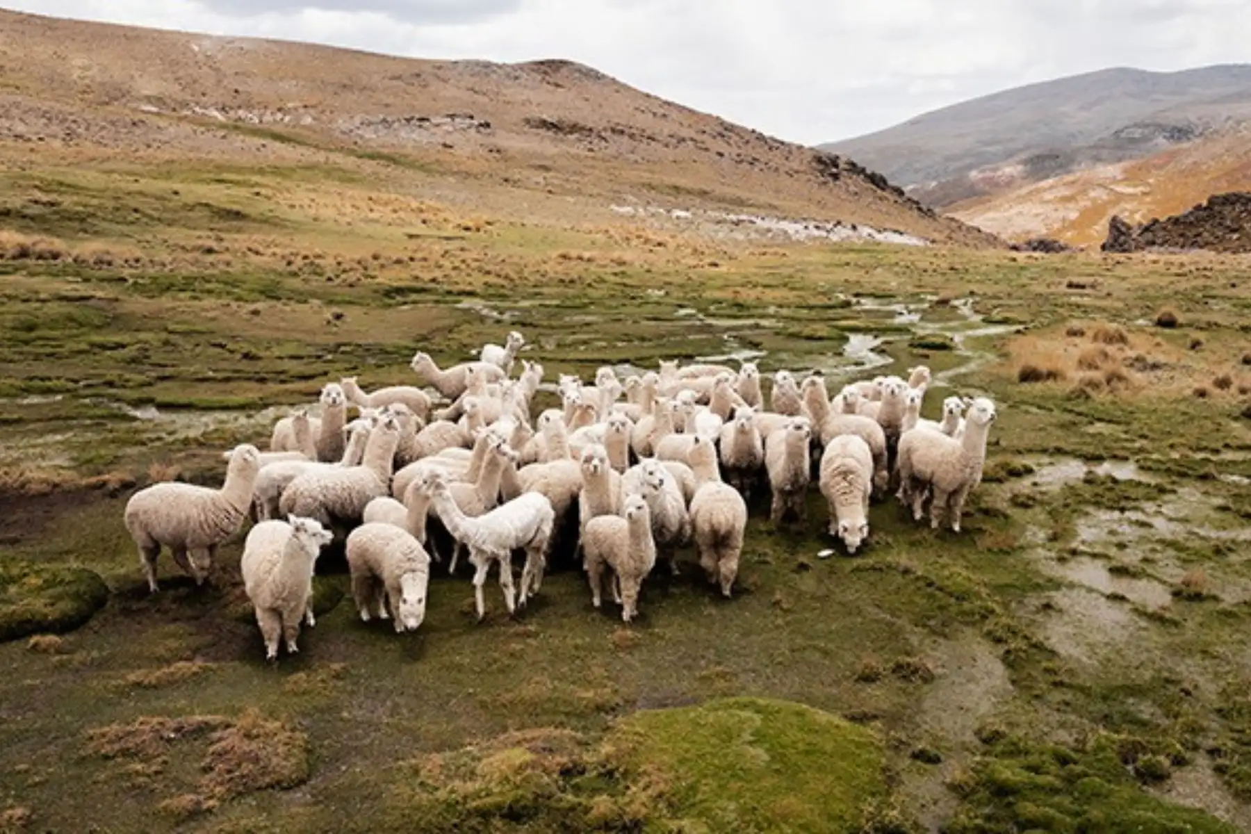 La agricultura y la minería pueden ser complementarias y no excluyentes