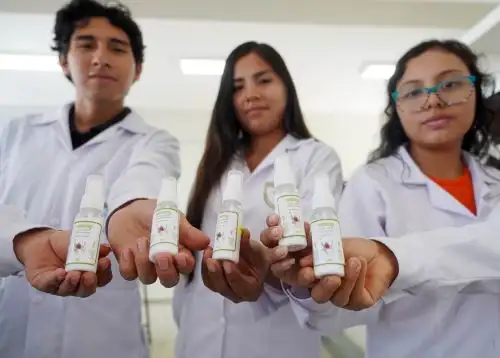 Docentes y estudiantes de la Universidad Nacional San Luis Gonzaga de Ica elaboraron un repelente natural, a base de eucalipto y molle, que previene las picaduras del zancudo transmisor del dengue. Foto: Genry Bautista