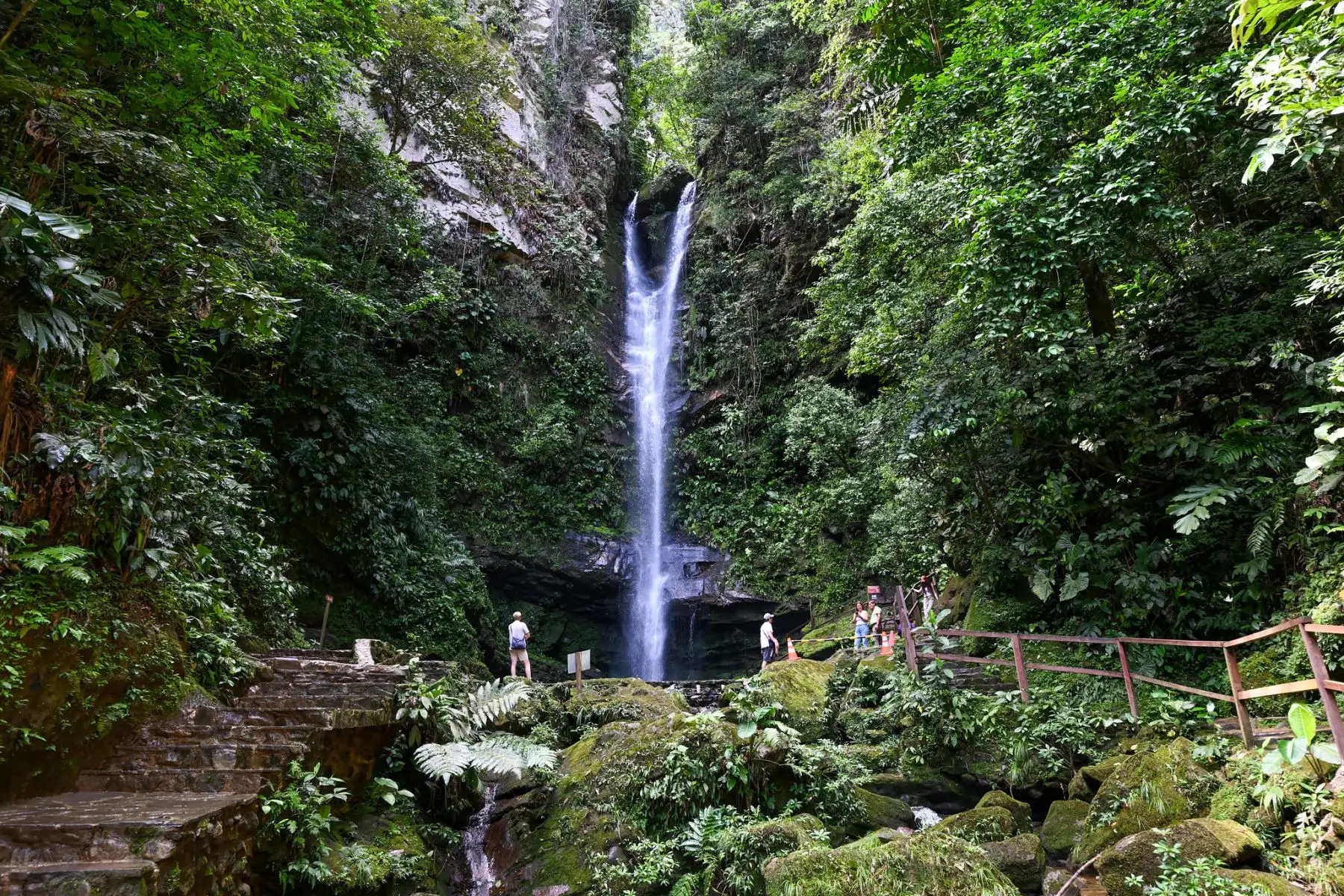 Su ejecución permitirá recaudar alrededor de 250,000 soles al año por las visitas de más de 100,000 turistas que llegan a la catarata Ahuashiyacu. Gracias a esta medida del Minam se potenciará la conservación, recuperación y uso sostenible de 1361,31 hectáreas de ese territorio amazónico.
Foto: ANDINA/MINAM