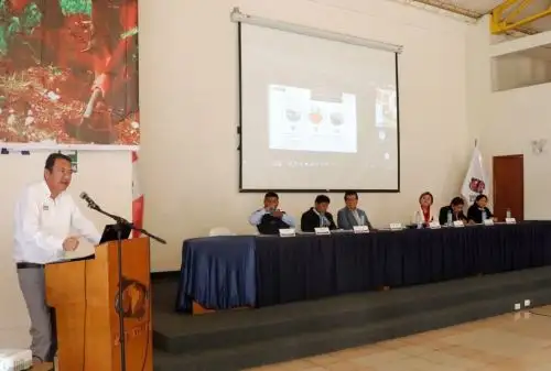 Foto: ANDINA/Difusión