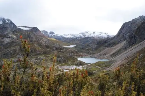 ANDINA/Difusión