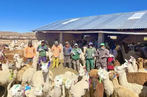 Beneficiarán a 180,000 pequeños productores con proyectos para proteger la agricultura.