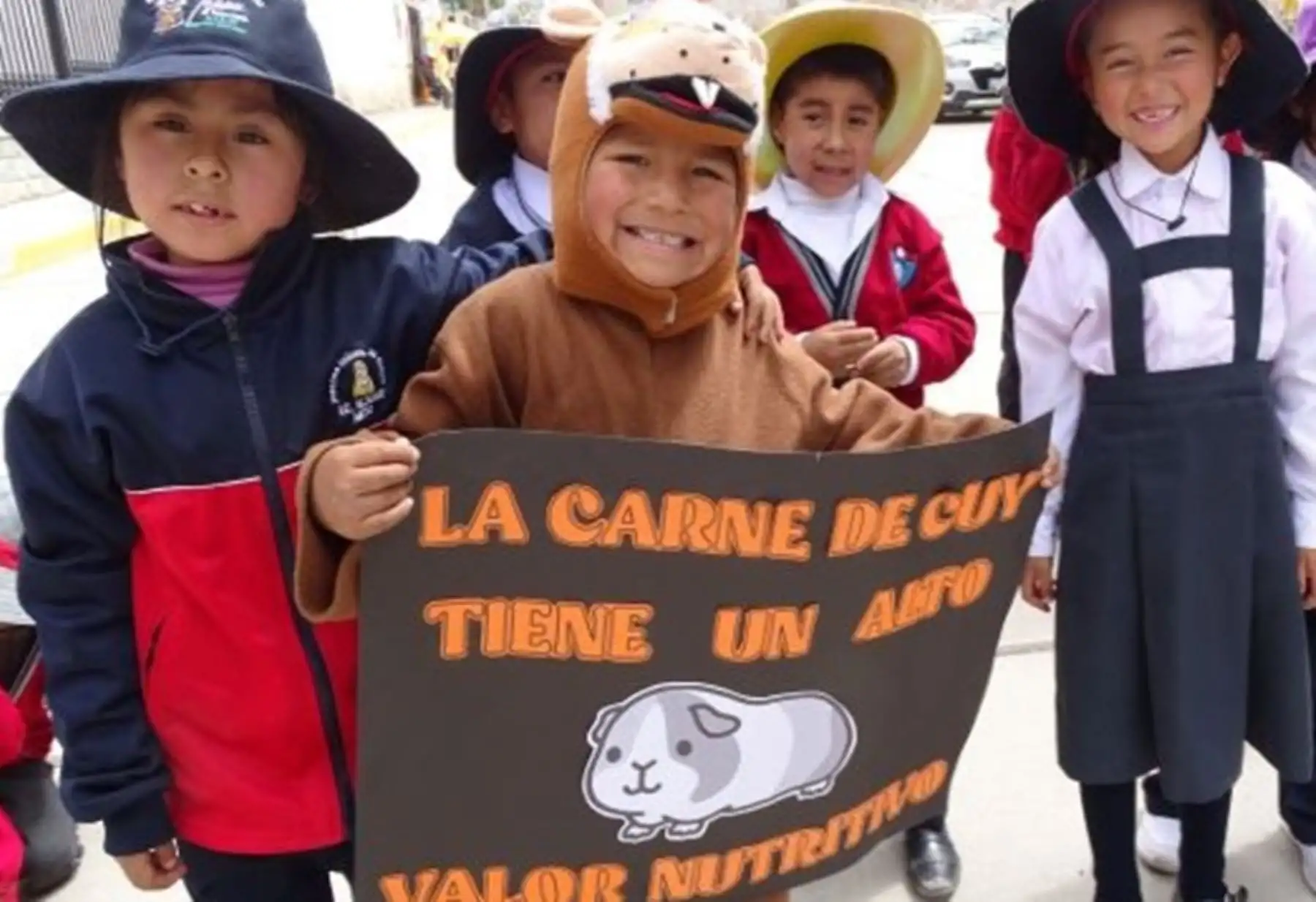 Por segundo año consecutivo, la Municipalidad Distrital de Mito, en la provincia de Concepción, departamento de Junín, compra carne de cuy para complementar los desayunos escolares que brinda el Programa Nacional de Alimentación Escolar Qali Warma.