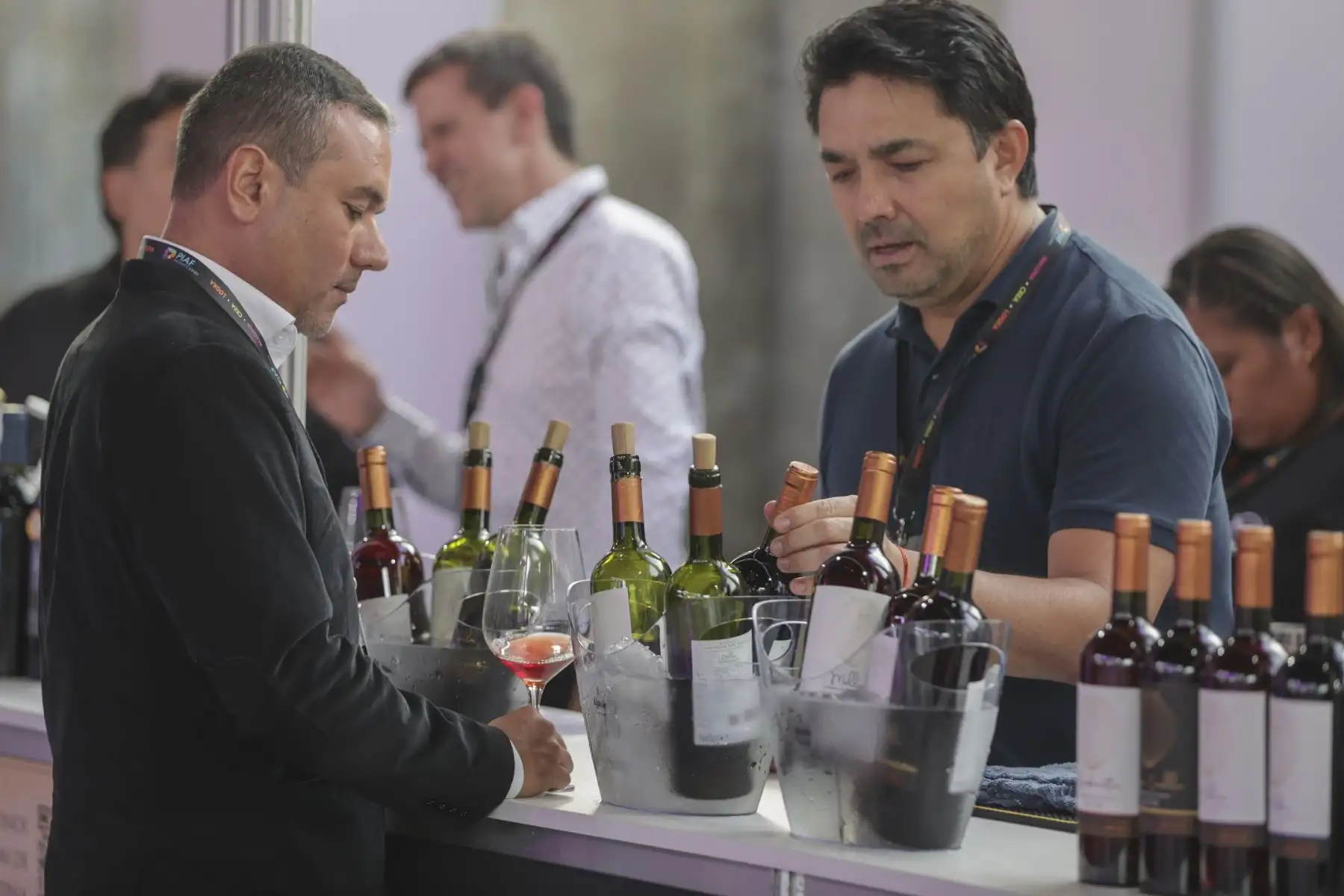 Por primera vez en Lima se realiza La Fiesta del Vino, donde no solo se puede conocer y degustar diversos vinos del mundo; sino que se puede ser parte de espacios intervenidos con iluminación, proyecciones, personajes y música en vivo haciendo de este evento una verdadera fiesta, donde la experiencia e interacción del público es lo más importante.
Foto: ANDINA/Andrés Valle