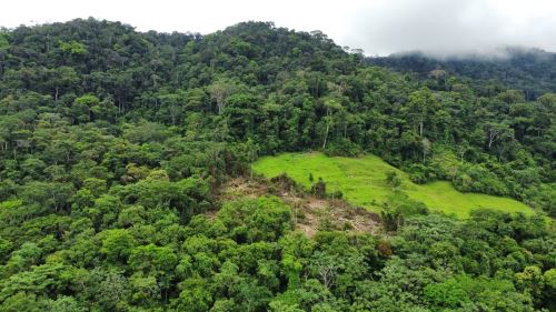 Cordillera Escalera, área de conservación regional de San Martín. Foto: ANDINA/Difusión