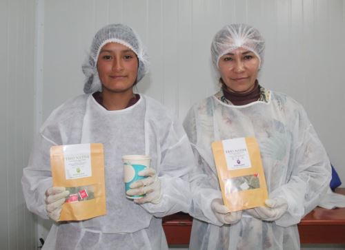 Con apoyo de Concytec y otras instituciones, comunidades de los páramos de la sierra de Piura elaboran una innovadora bebida filtrante a base de lanche y ushpa. ANDINA/Difusión