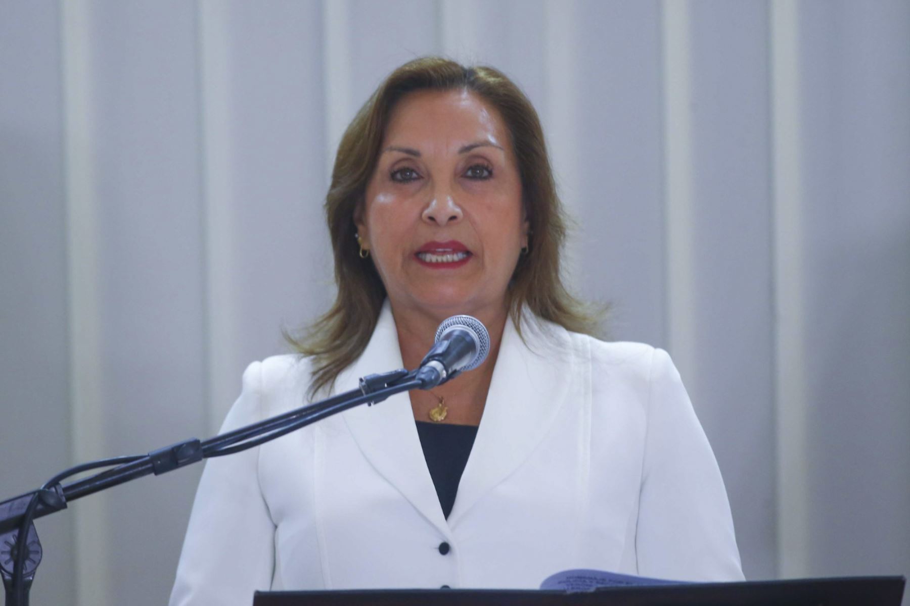 Dina Boluarte, presidenta de la República. ANDINA/Eddy Ramos