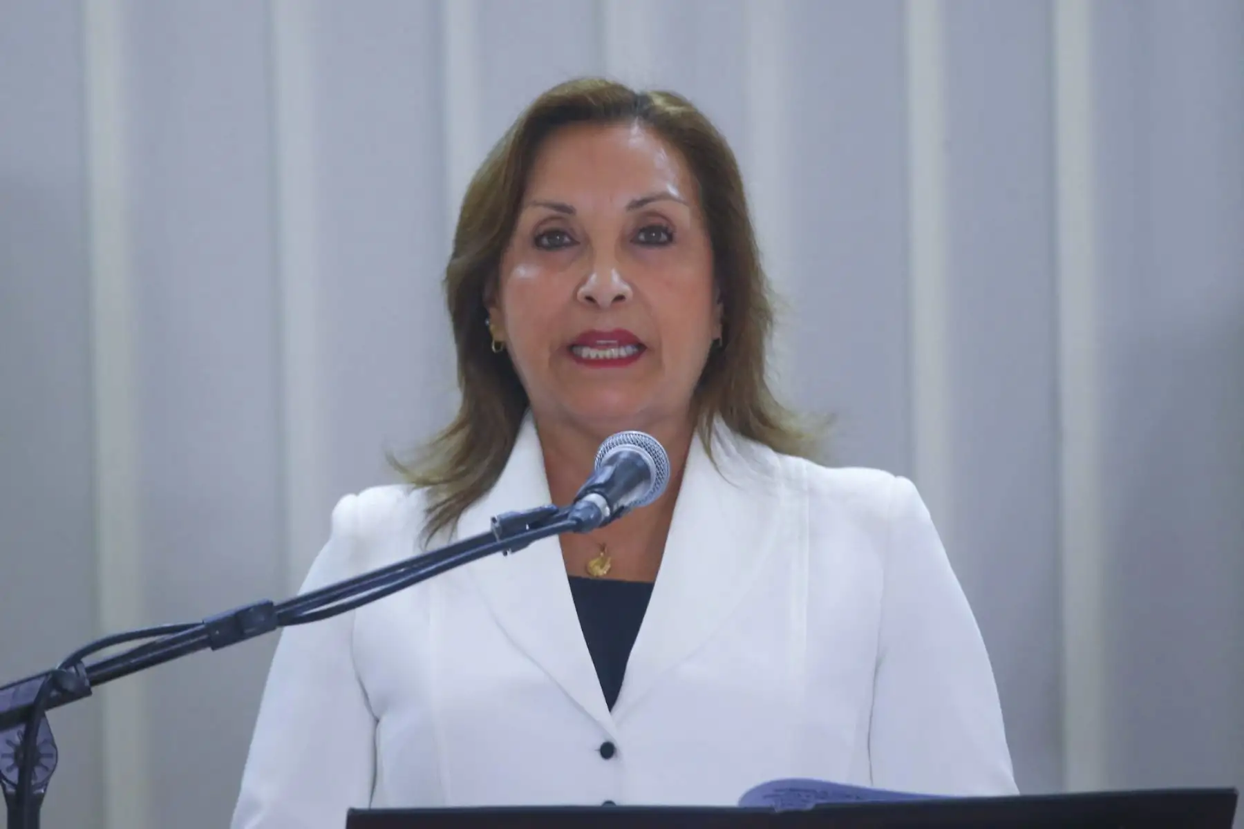 La presidenta de la república, Dina Boluarte, participa en la conmemoración del Día de la Mujer Policía, que se desarrolla en la sede del Ministerio del Interior.

Foto: ANDINA/Eddy Ramos