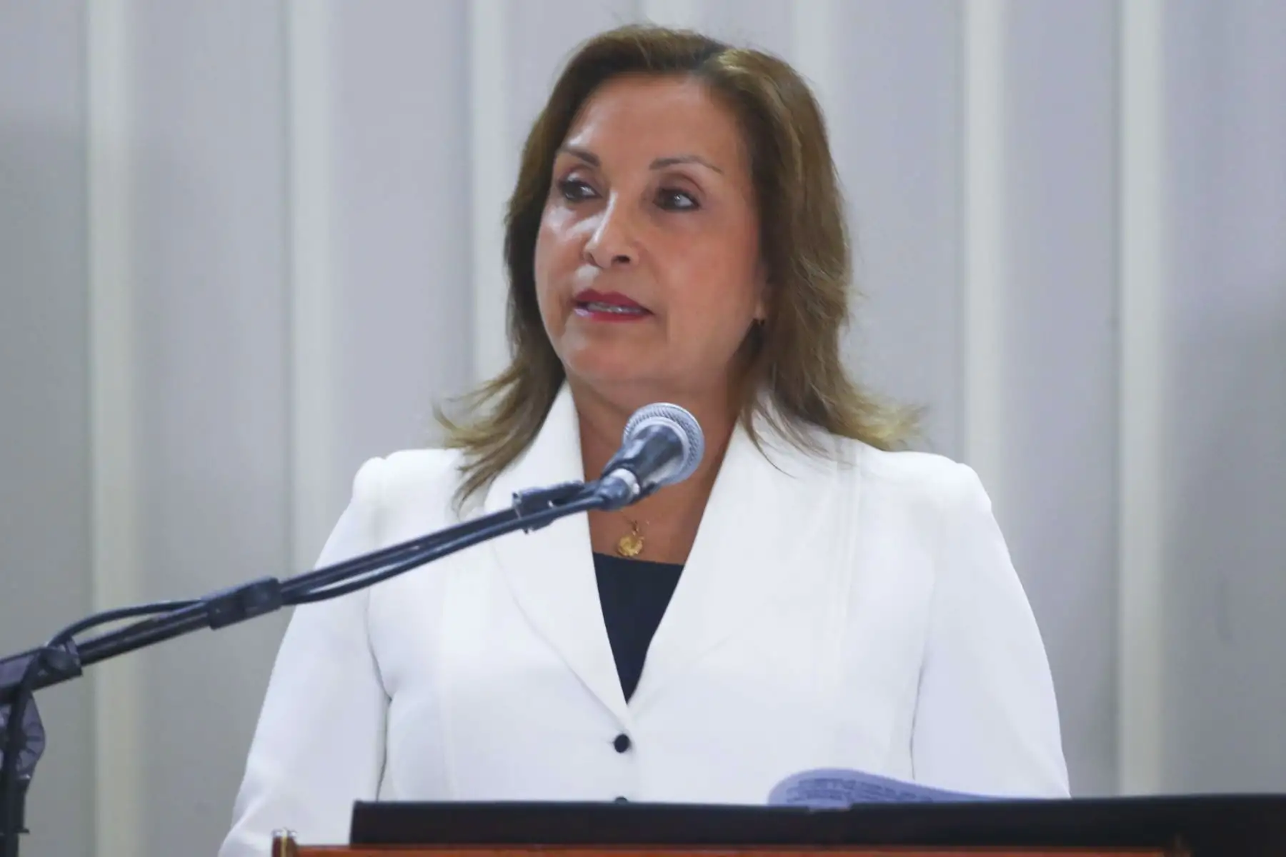 La presidenta de la república, Dina Boluarte, participa en la conmemoración del Día de la Mujer Policía, que se desarrolla en la sede del Ministerio del Interior.

Foto: ANDINA/Eddy Ramos