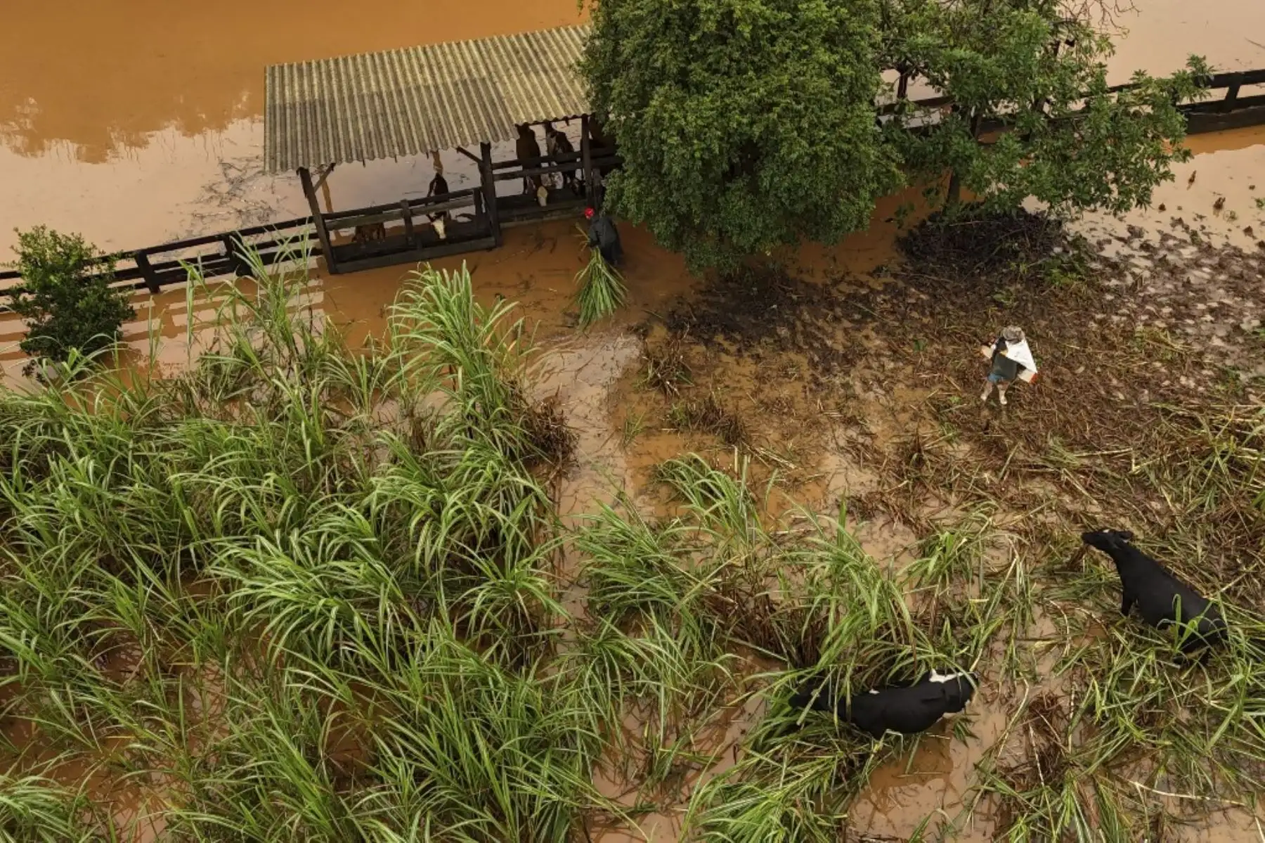 Vista aérea muestra un área inundada de Capela de Santana, estado de Rio Grande do Sul, Brasil, el 2 de mayo de 2024.†. El presidente brasileño, Luiz Inácio Lula da Silva, visitó el jueves el sur del país, donde las inundaciones y deslizamientos de tierra causados por lluvias torrenciales han matado a 13 personas y es probable que la cifra aumente. Las autoridades de Rio Grande do Sul han declarado el estado de emergencia, mientras los rescatistas continúan buscando a unas 21 personas reportadas como desapa