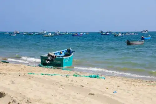 Foto: ANDINA/difusión.