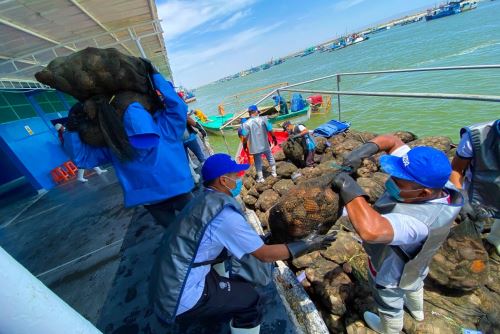 La extracción de moluscos Bivalvos vivos genera 12,000 empleos en el país. Foto: Cortesía.
