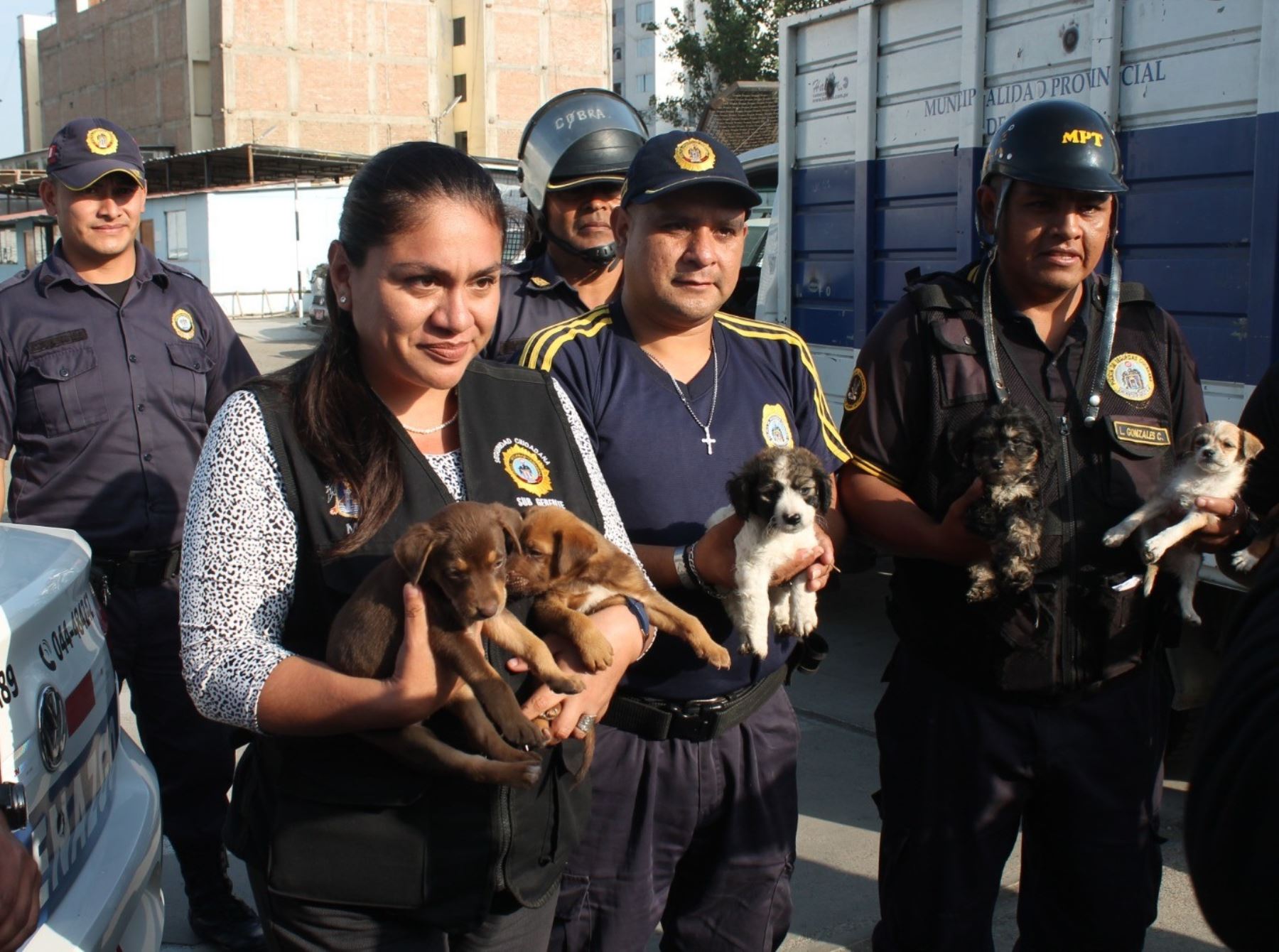 Un total de 139 animales, que eran vendidos en condiciones precarias en el mercado Palermo de Trujillo, fueron rescatados por personal de la Municipalidad Provincial. ANDINA/Difusión