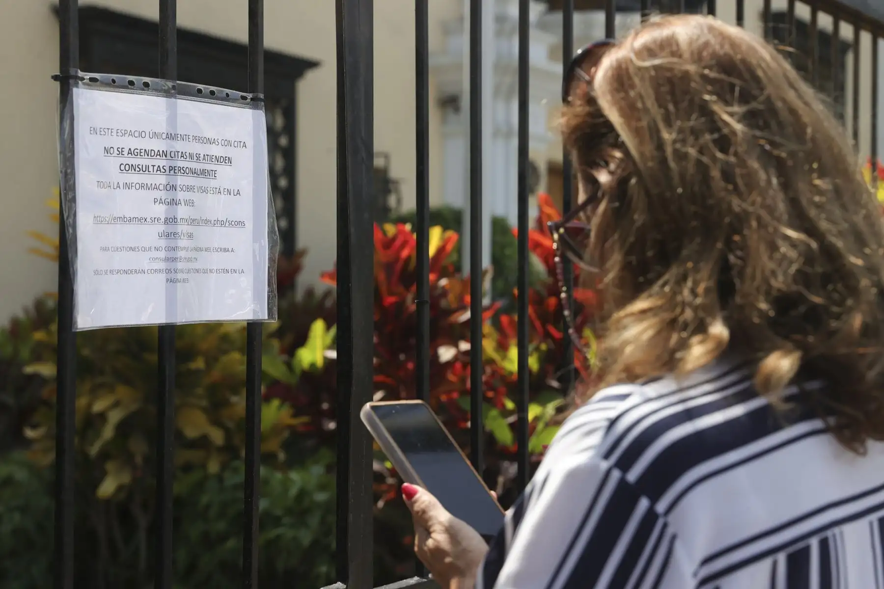 Para consultas sobre casos especiales, deberá escribir a: consularper@sre.gob.mx, o llamar a los números. +51 1612 1619 y +51 1612 1626, entre 14:00 y 17:00 horas.  Foto: ANDINA/Melina Mejía