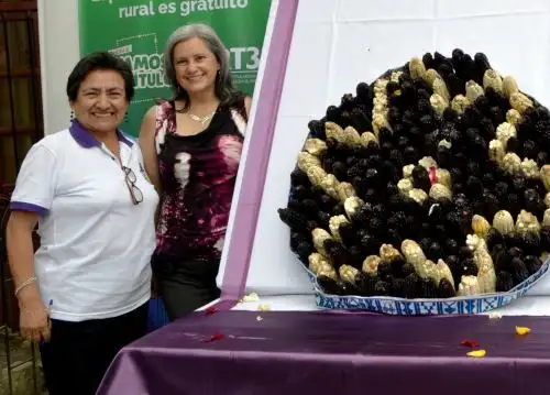 La investigadora cajamarquina, Alicia Medina, y la investigadora de la Universidad de Ohio, Mónica Giusti, participaron del Festival Nacional del Maíz, que se celebró en Cajamarca. ANDINA/Difusión