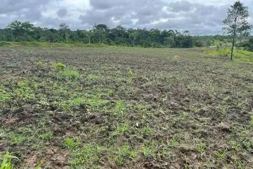 El propósito es mejorar la productividad de la agricultura familiar y rehabilitar los bosques naturales, señaló el Midagri.