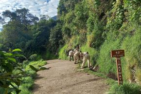 El objetivo es mejorar el servicio a los visitantes en los campamentos de la Red de Caminos Inca a Machu Picchu. Foto: ANDINA/Difusión