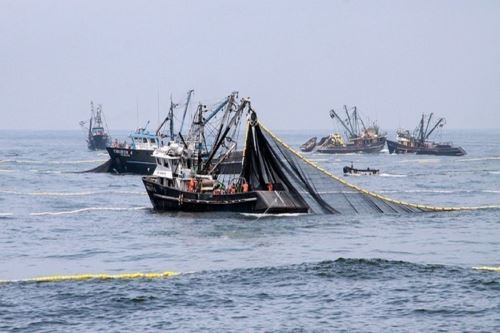 Pesca de anchoveta. ANDINA/Difusión