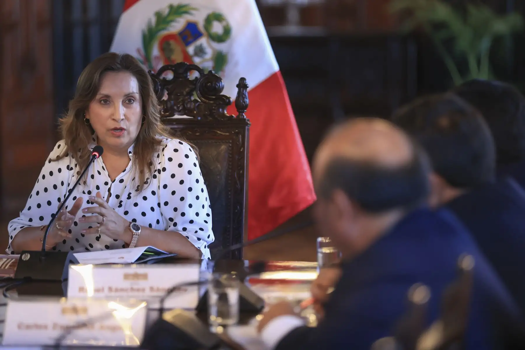 La presidenta Dina Ercilia Boluarte Zegarra, participó en una reunión de trabajo con el Gobernador Regional de Arequipa, Señor Rohel Sánchez Sánchez.
Foto: ANDINA/Prensa Presidencia