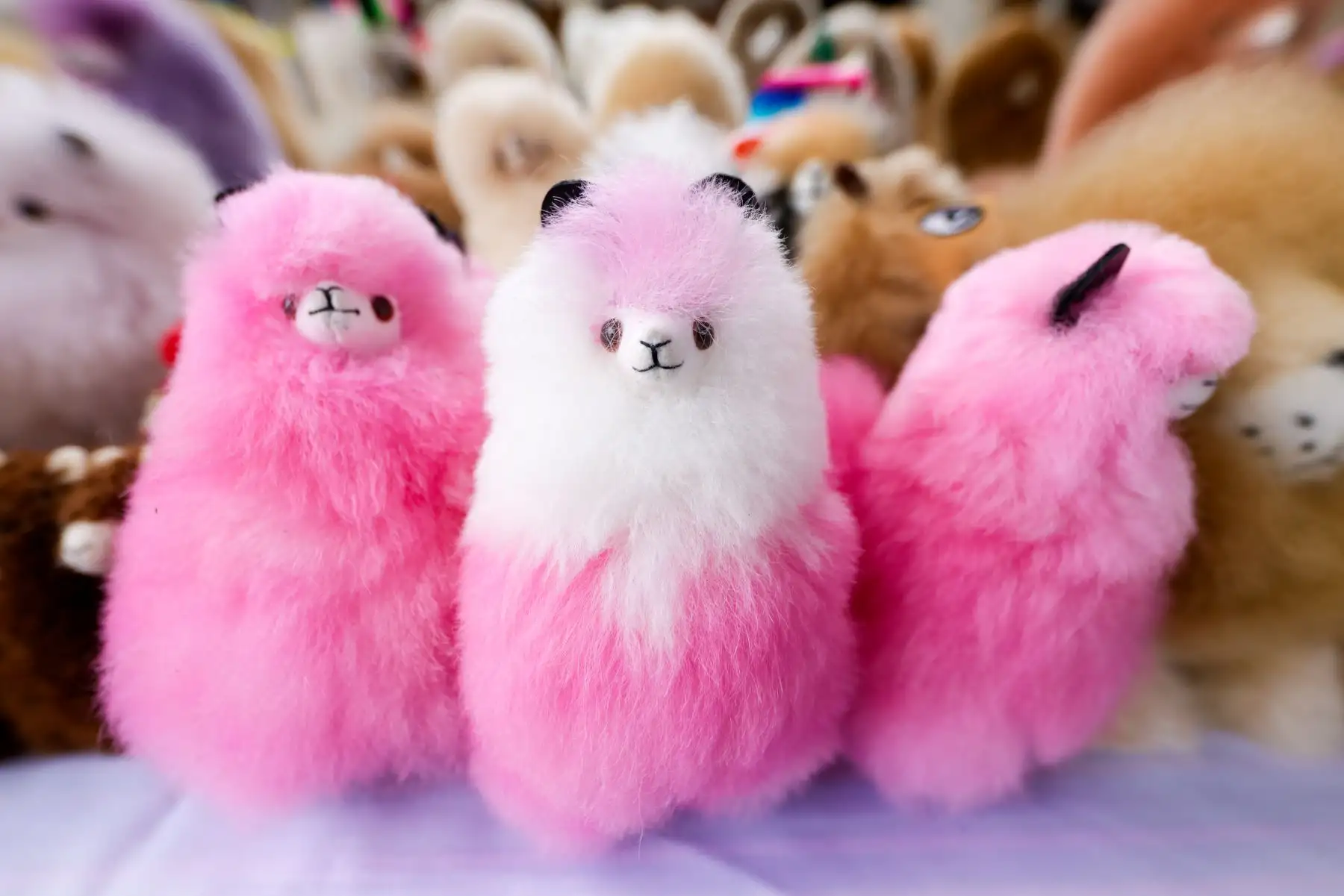 Con el nombre de Pachamama, en honor a la madre tierra y alusiva al Día de la Madre, los asistentes podrán encontrar una amplia variedad de regalos artesanales.
Foto: ANDINA / Luis Iparraguirre