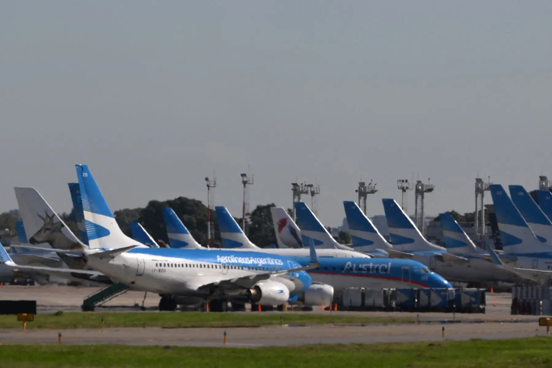 Aviones de Aerolíneas Argentinas están estacionados en la pista del aeropuerto Jorge Newbery. El presidente de Argentina, Javier Milei, afronta este jueves la segunda huelga general contra el "brutal ajuste" de su gobierno, que paraliza los servicios de transporte terrestre, marítimo y aéreo, así como las instituciones educativas, financieras y comerciales en todo el país. Foto: AFP