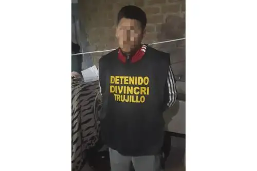 La organización criminal estaría inmersa en los delitos de homicidios, sicariato, lesiones, robo y hurto agravado de vehículo y extorsión, así como marcaje y tenencia ilegal de armas de fuego. Foto: ANDINA/PNP