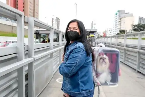 ¿Sabías que puedes viajar con tu mascota en el transporte público? Conoce cómo hacerlo. Foto: ANDINA/Difusión.
