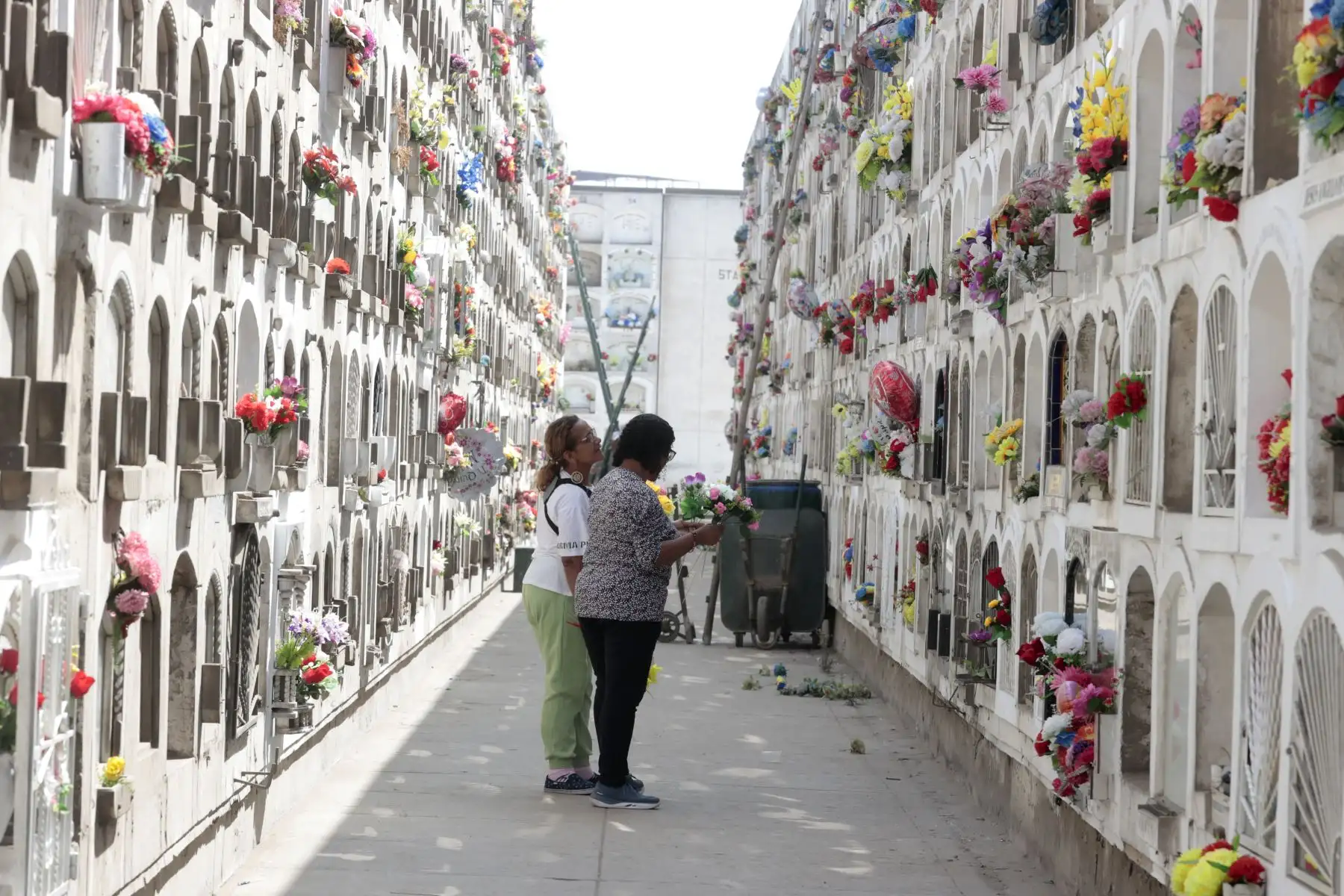 Familias enteras comenzaron a ingresar a los camposantos para recordar con una oración, en cementerio el Ángel.
Foto: ANDINA/ Vidal Tarqui