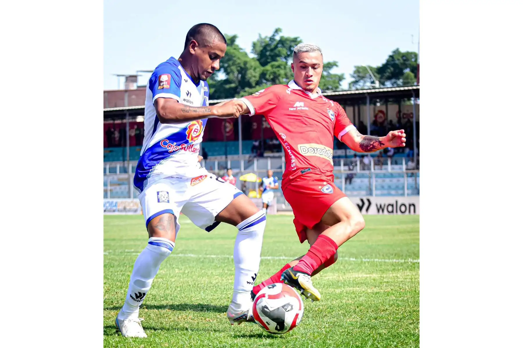 Con gol de Carlos Garcés en el segundo tiempo, Cienciano superó al Alianza Atlético de Sullana por 1-0, en el partido de la fecha 15 del Torneo Apertura de la Liga 1, jugado en el Estadio Municipal "Campeones del 36", en Sullana, Piura. Foto: Alianza Atlético
