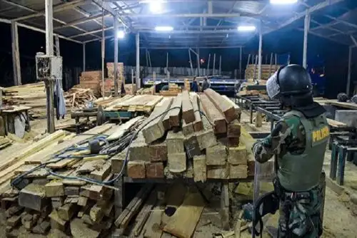 Todas estas acciones obedecen a la lucha constante y sin tregua que enfrenta el Gobierno peruano, a través del sector Interior.